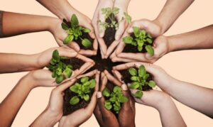 marque responsable ecologique